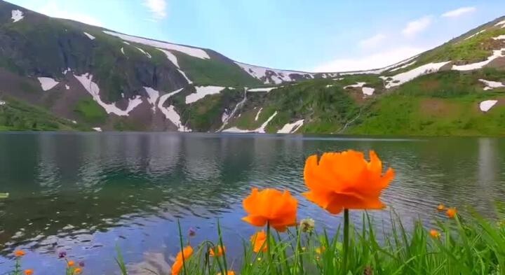 Солянка