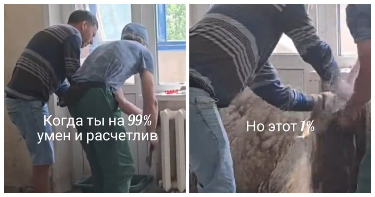 Хорошо, что тазик поставили