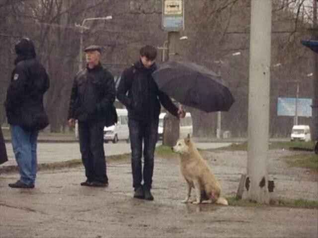 Картинки