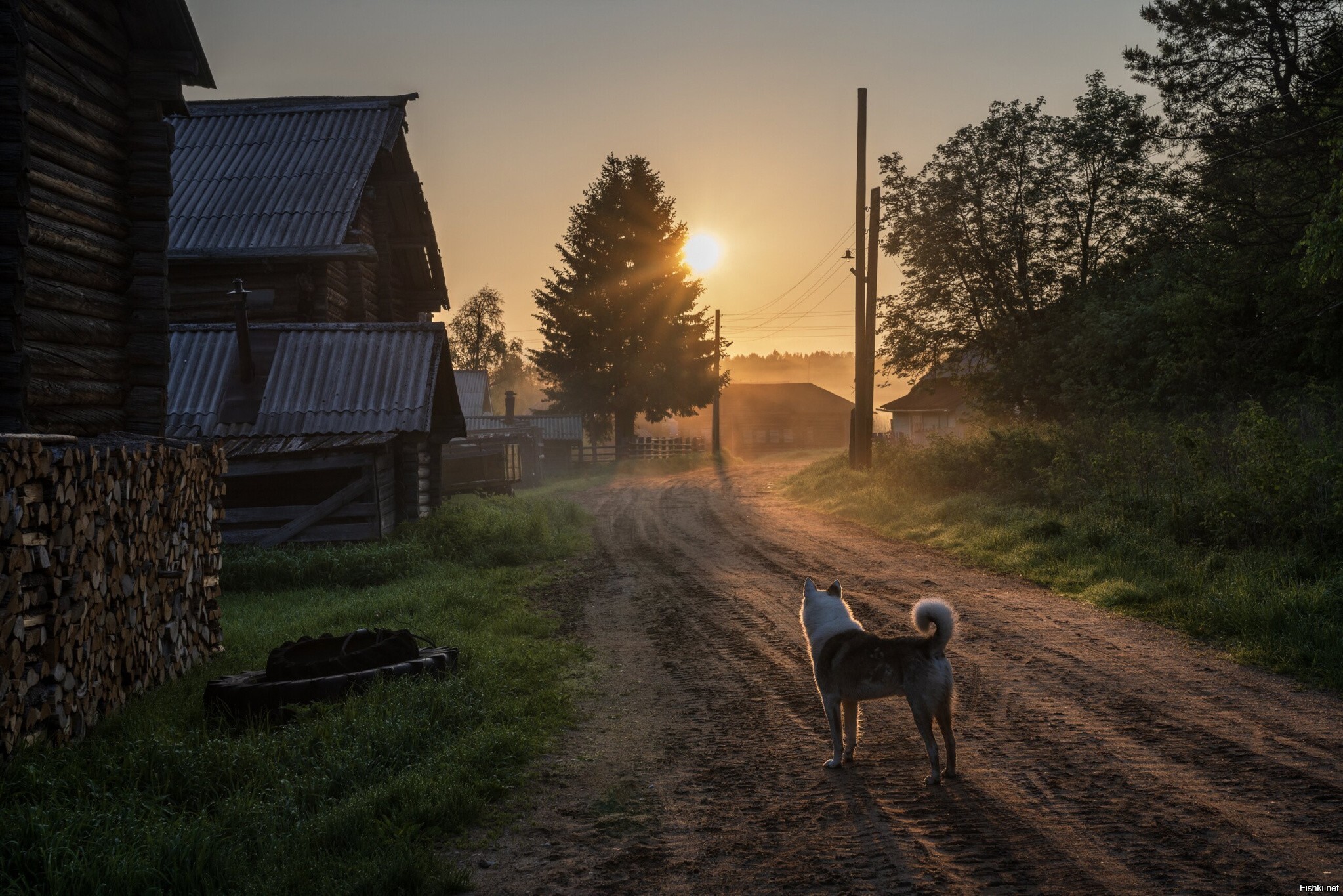 Солянка