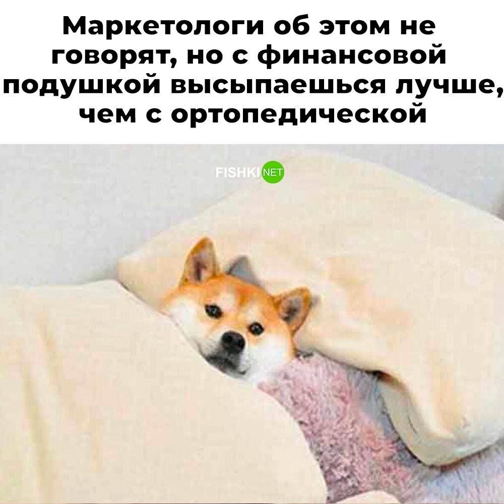 Большая тарелка улыбатора