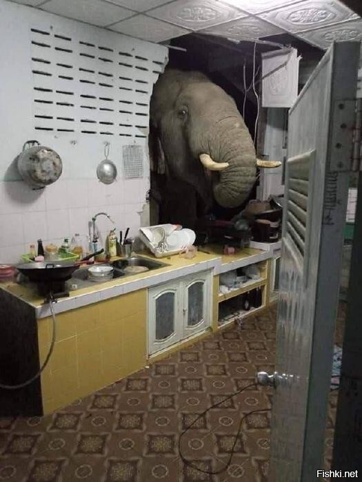 Солянка