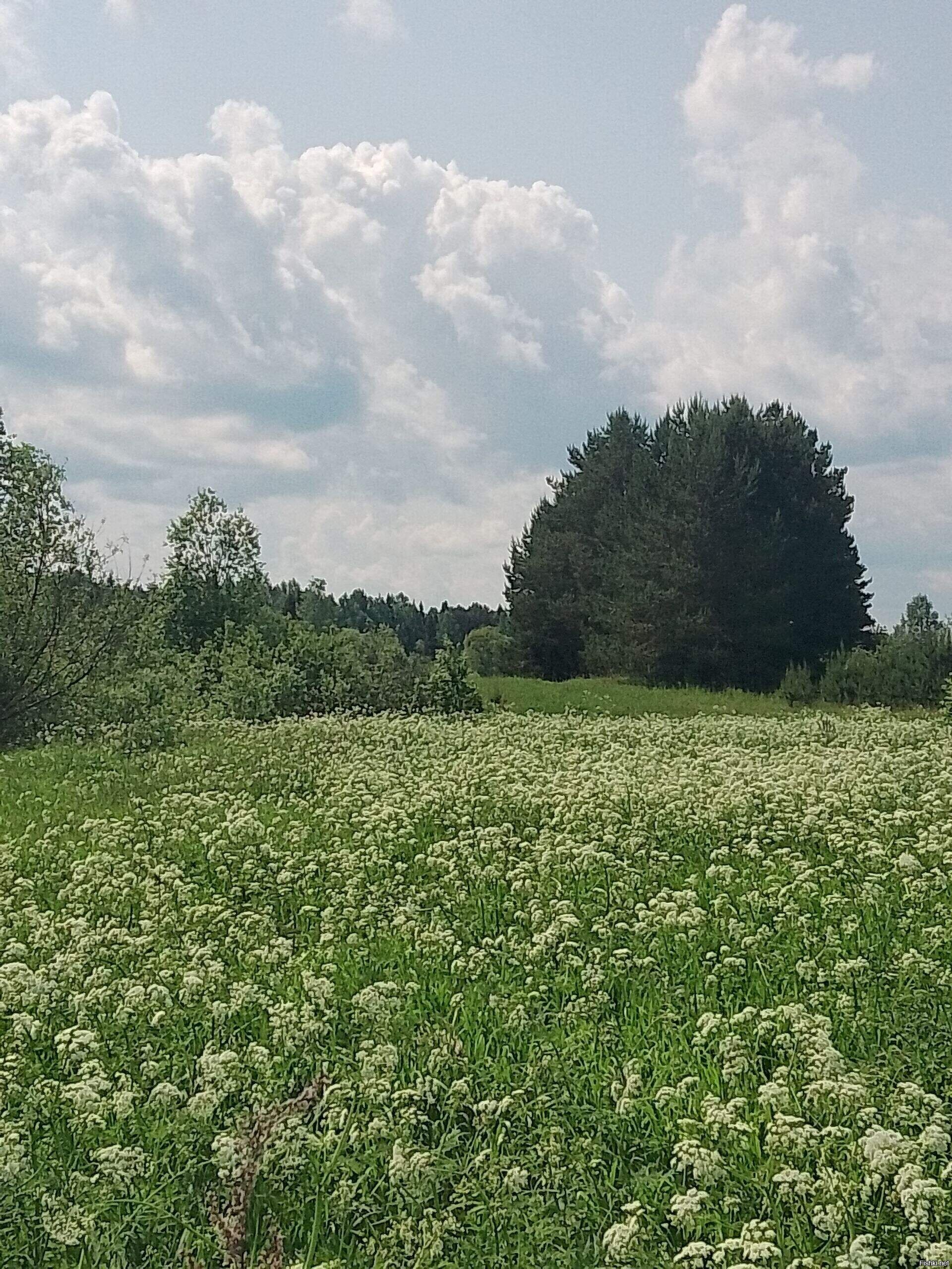 Доброе утро