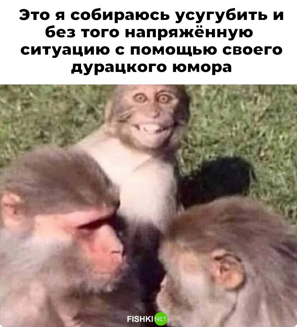Смешные картинки