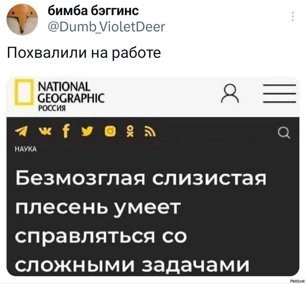 Солянка