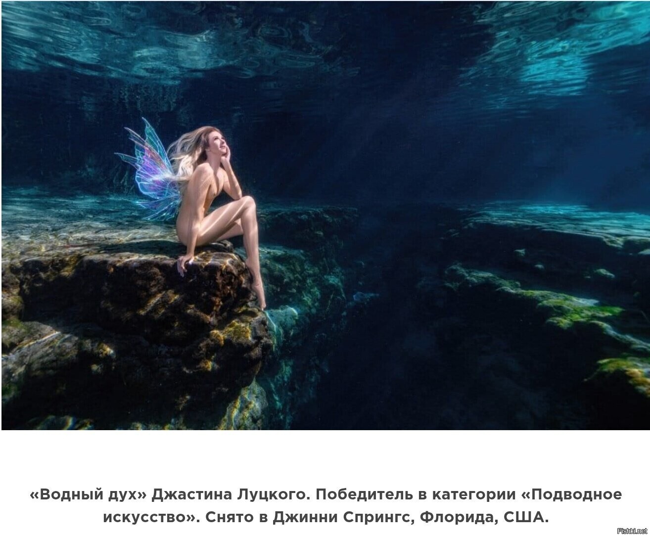 Фотограф говорит что не ИИ