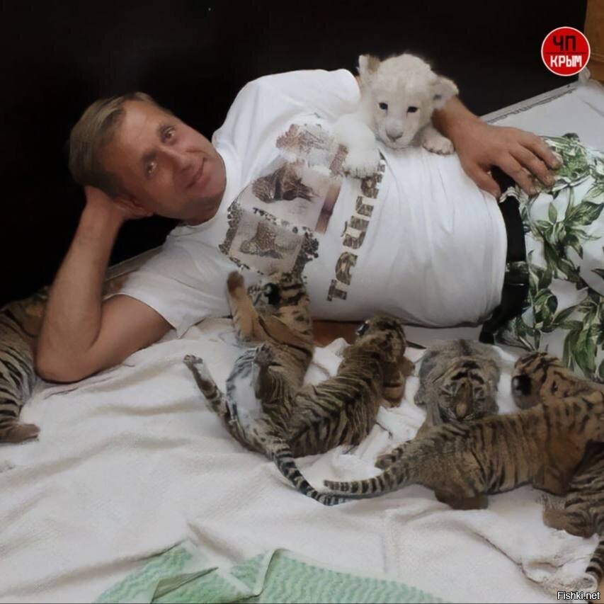 Атакованному львом директору "Тайгана" провели последнюю операцию