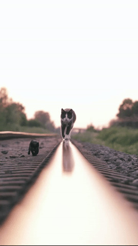 Четкость