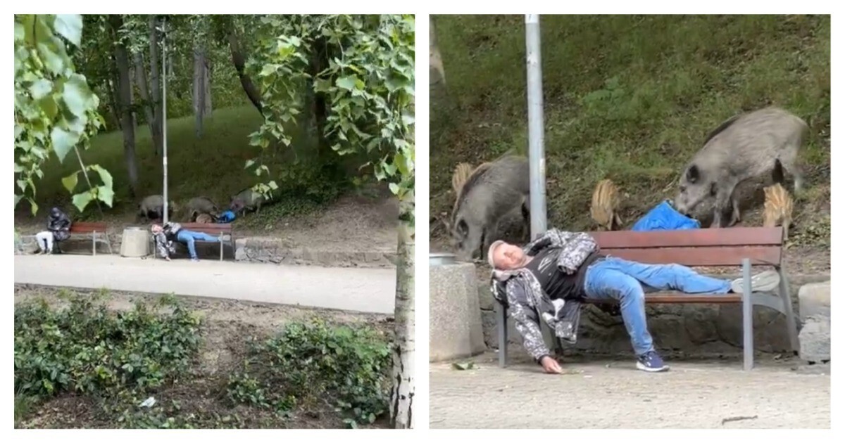 Единение с природой в Польше