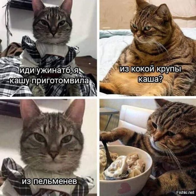 Солянка