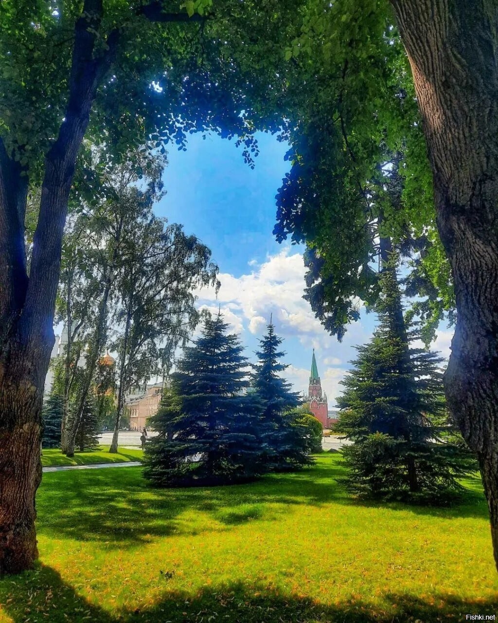 Тайницкий сад