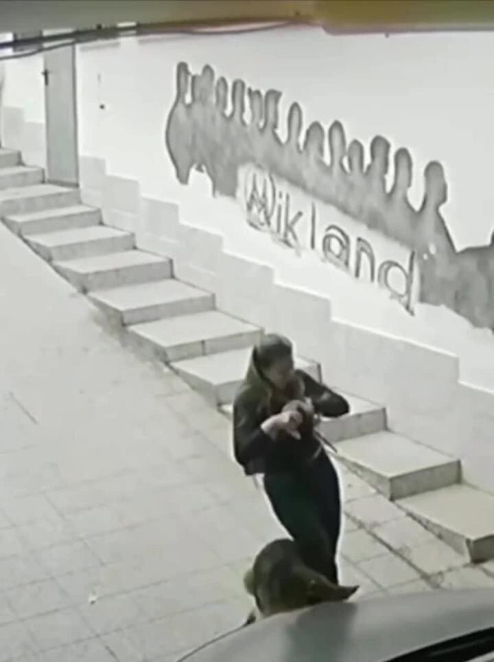 Солянка