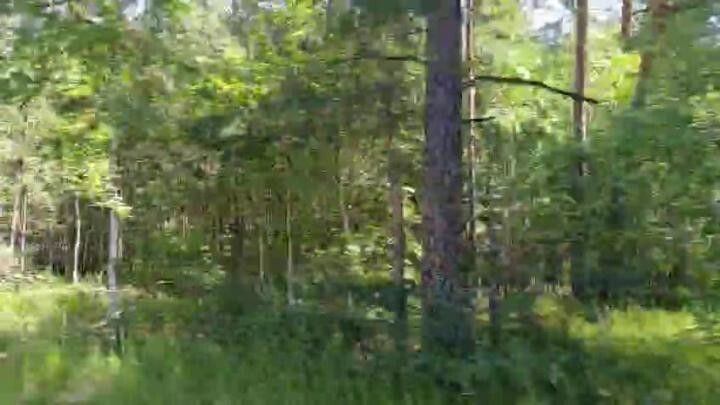 По дороге в Риддер