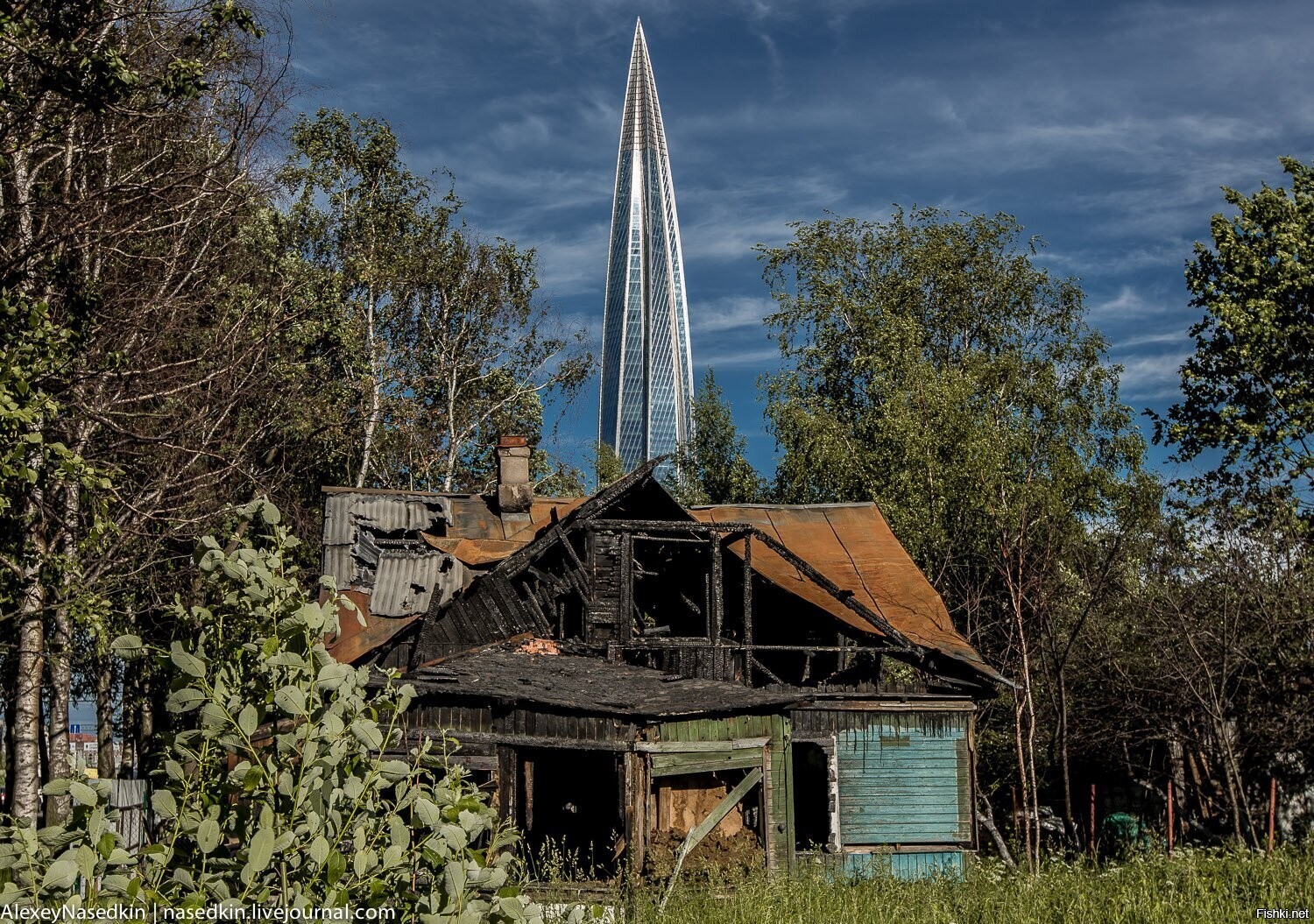 Солянка