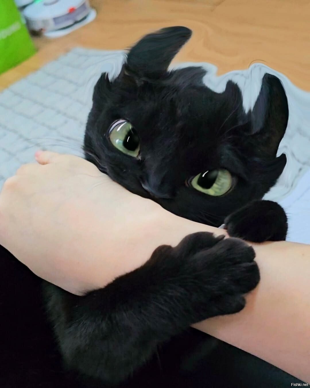 Солянка