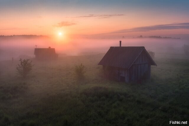 Солянка
