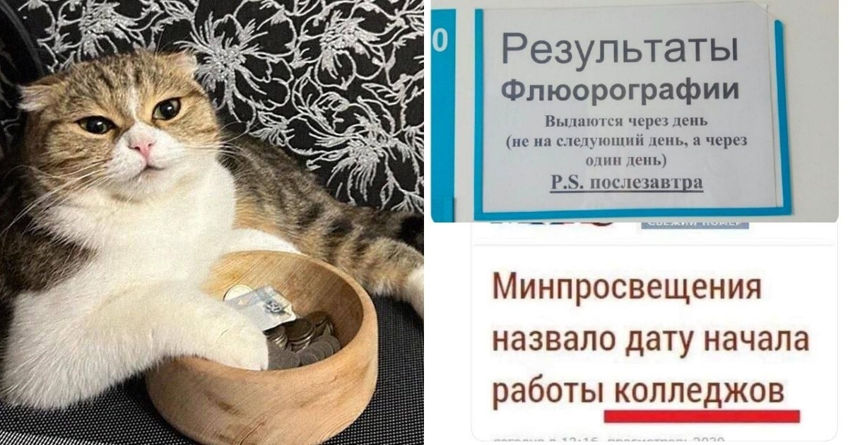 Мероприятель и клюкало: и опять каламбуры и лингвошутки