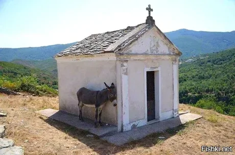 Солянка