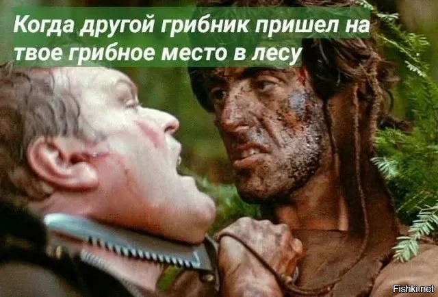 Солянка