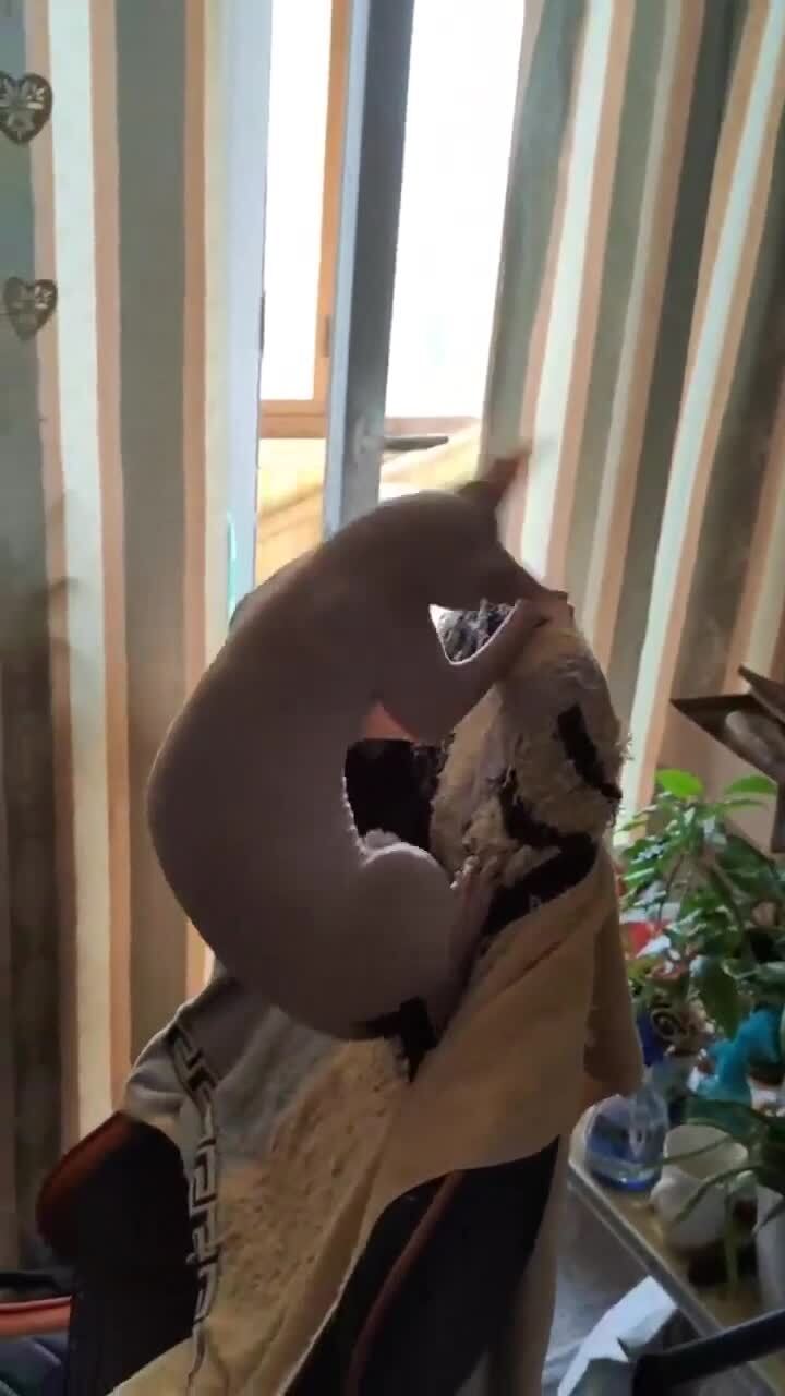 Солянка