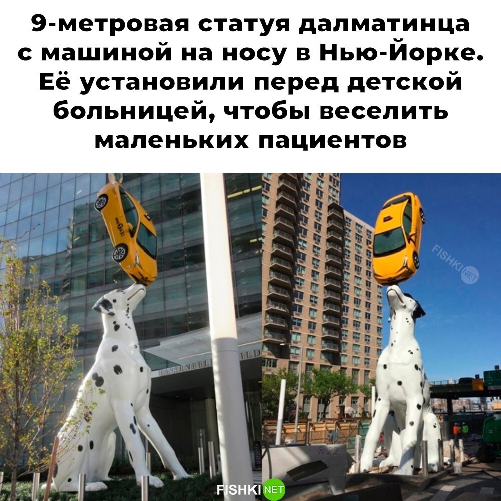 Субботний улыбатор
