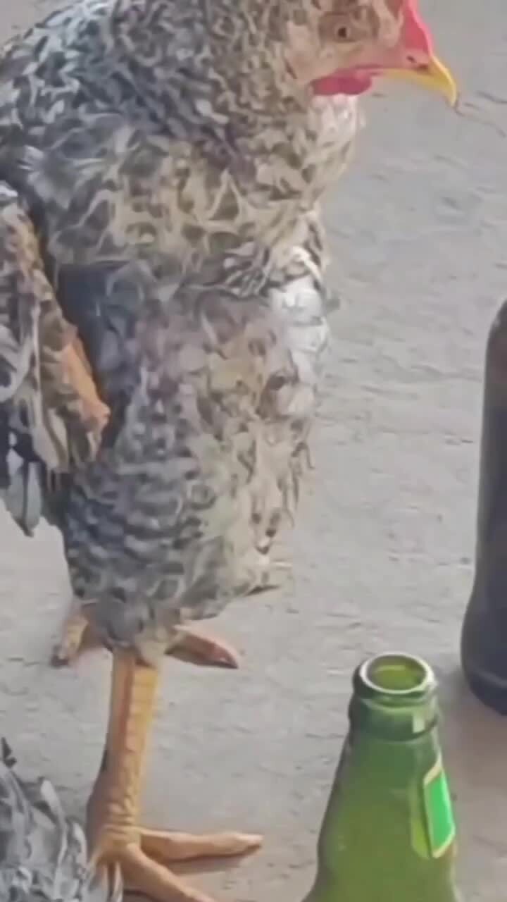 ну вот и выхи