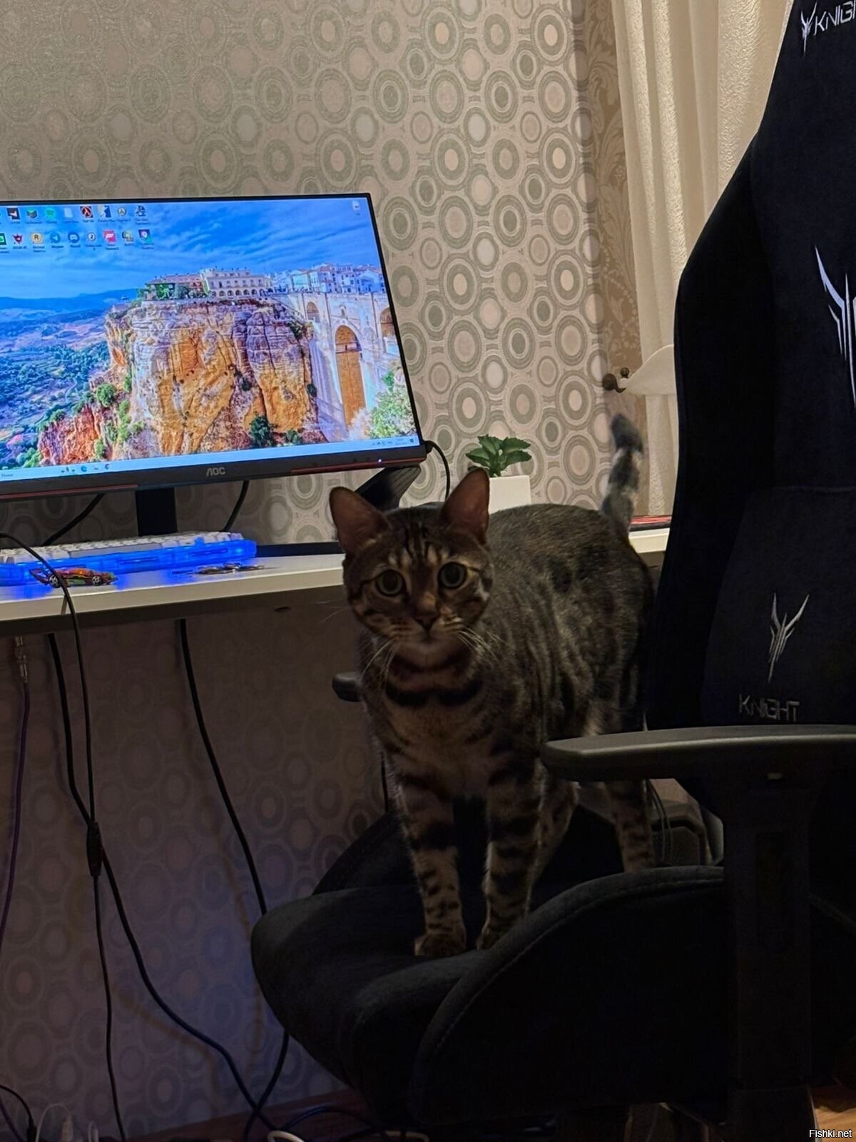 Солянка
