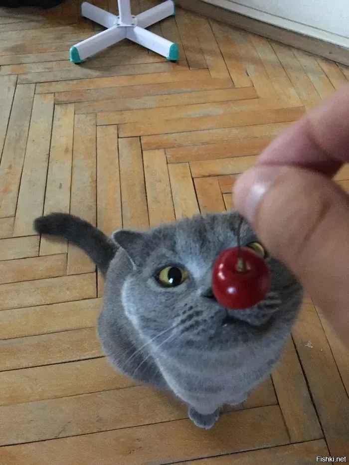 Доброе утро