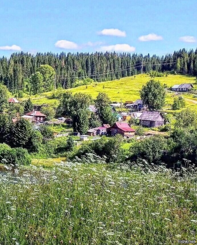Солянка