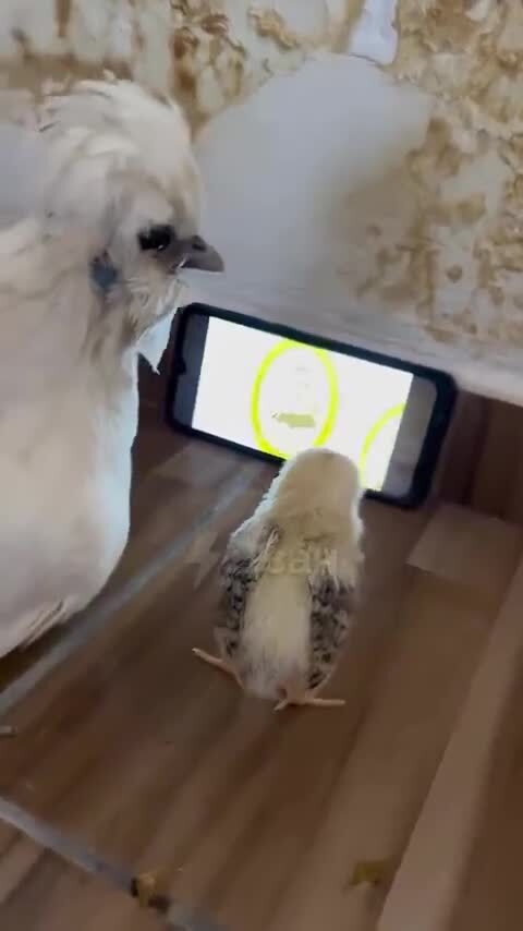 Воскресенье вечер