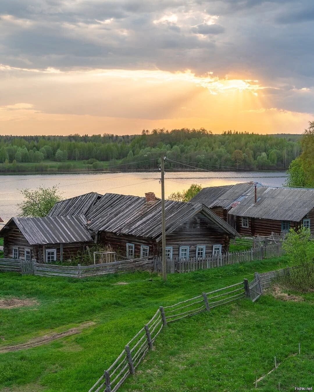 Солянка