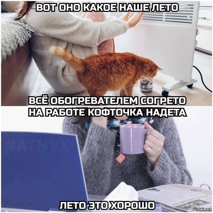 Солянка