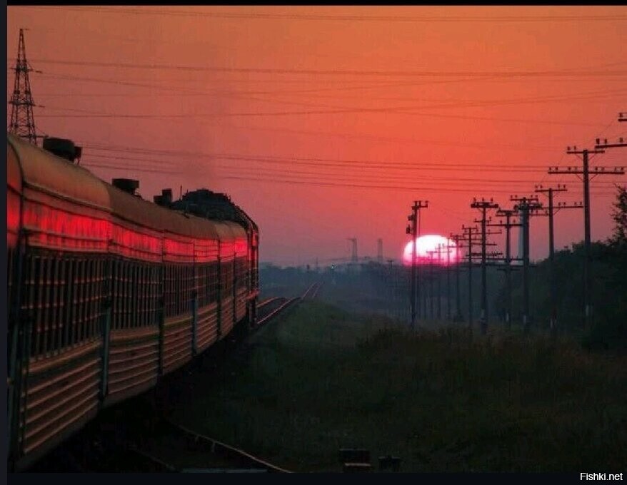 Солянка
