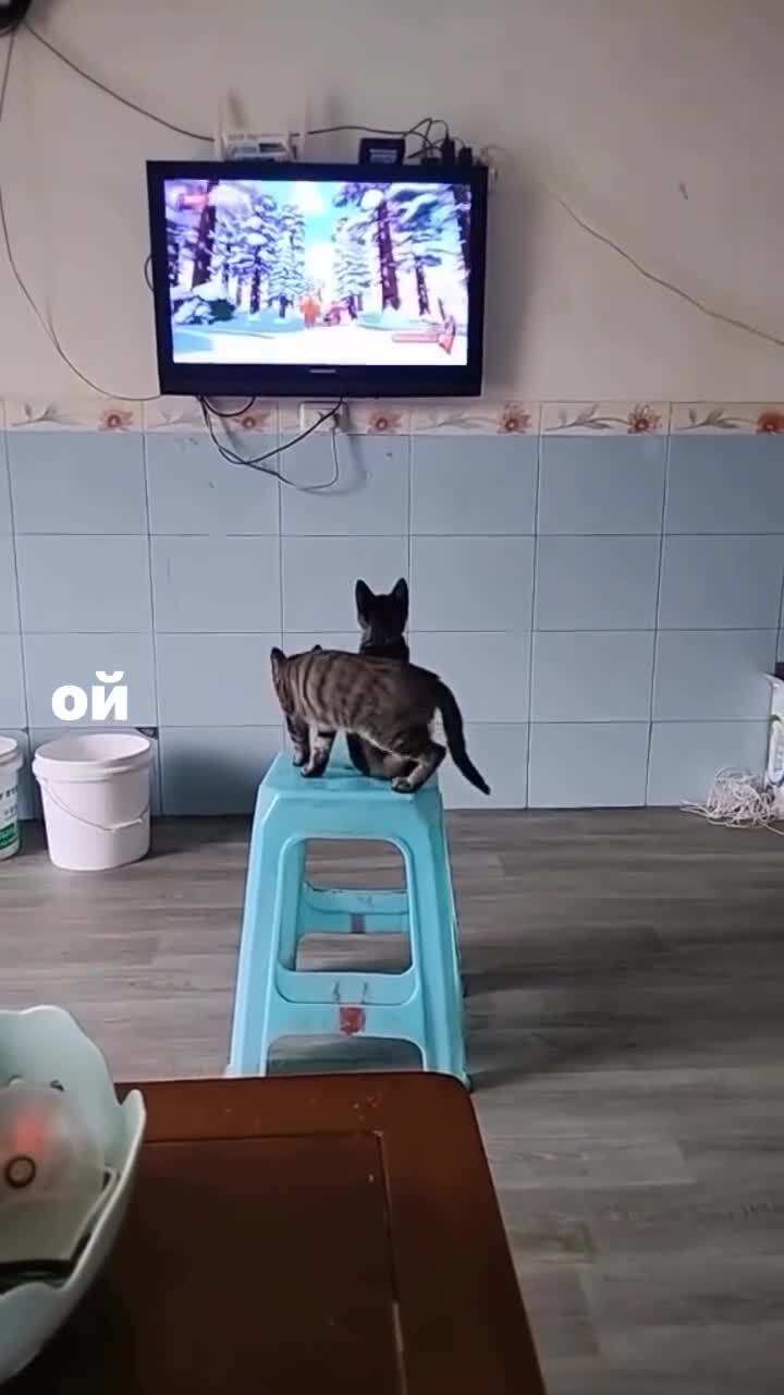 Зрители)