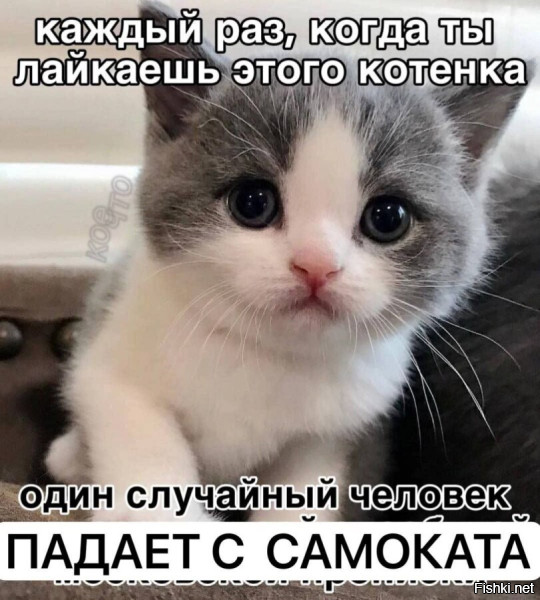 Понимаю, что это немного не честно, но не удержался 