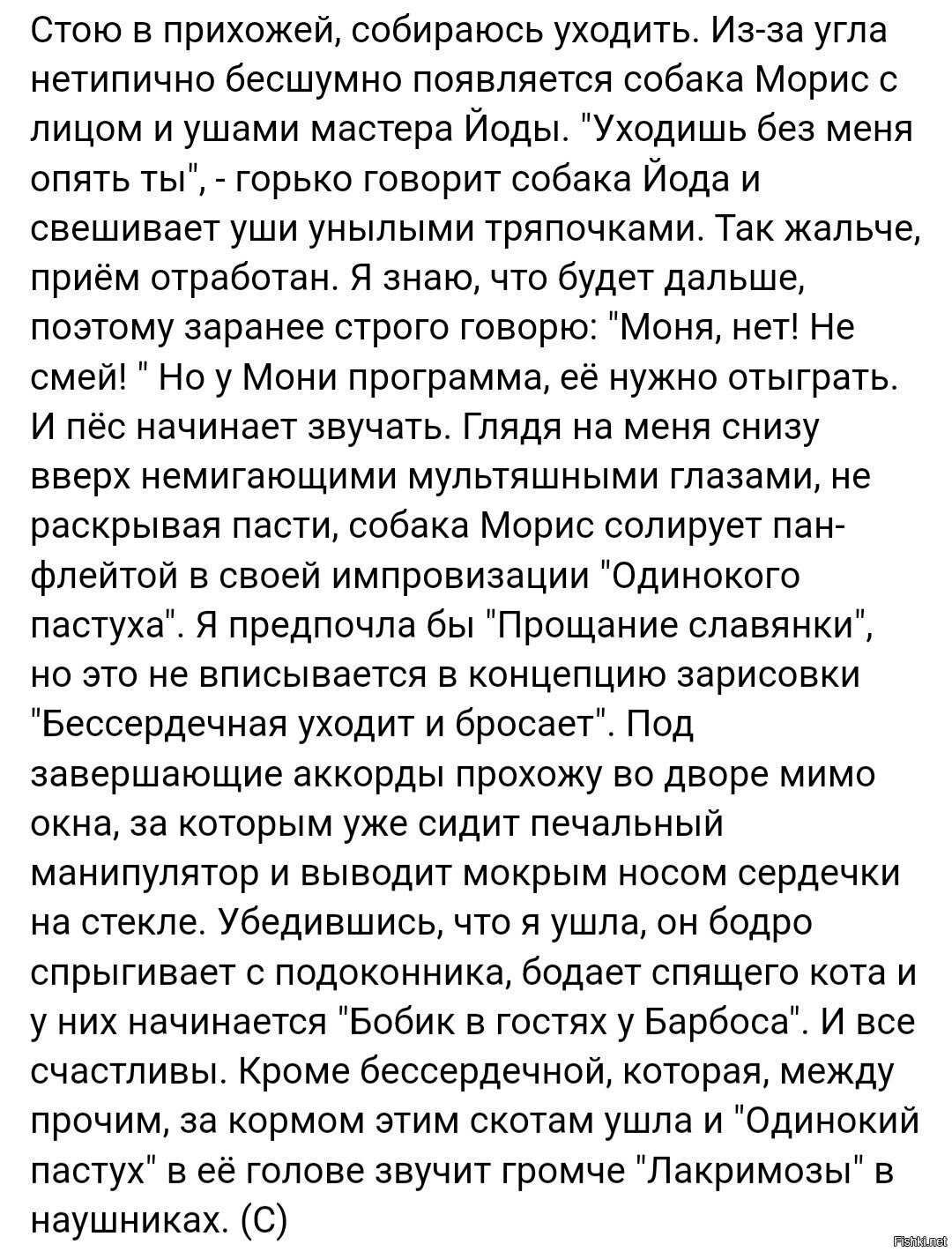 Солянка