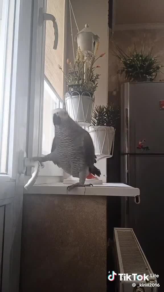 Вот и пообщались)))