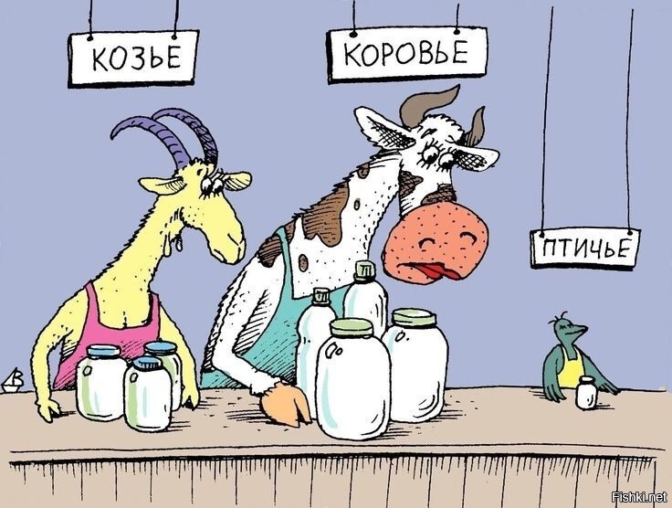 Солянка