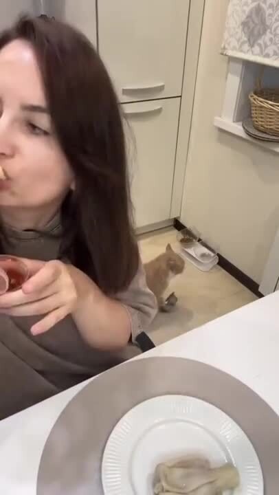 Обед