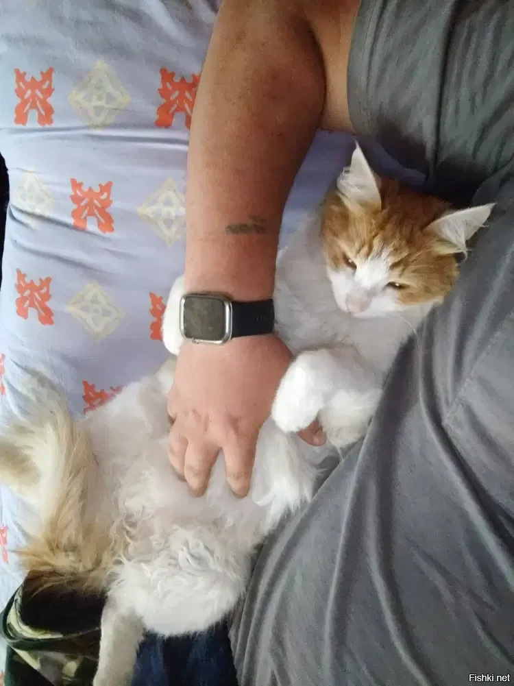 Лежу с котом, жмакаю теплую пузяку, красота )))