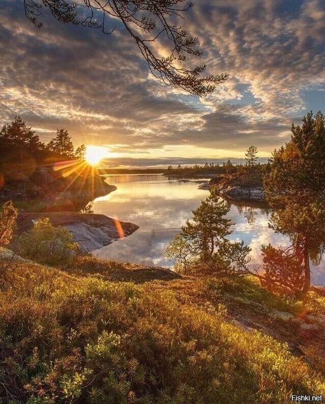 Солянка