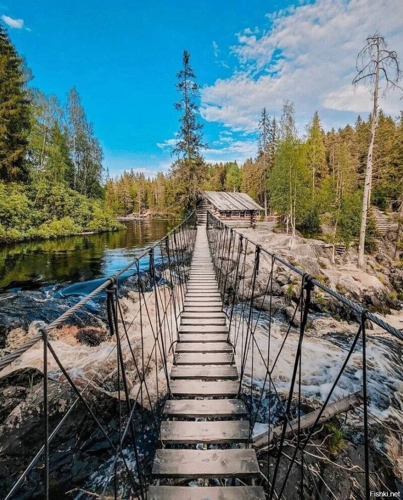 Солянка
