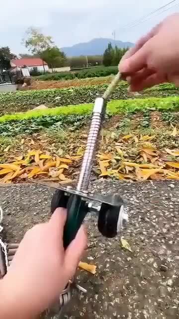 Солянка