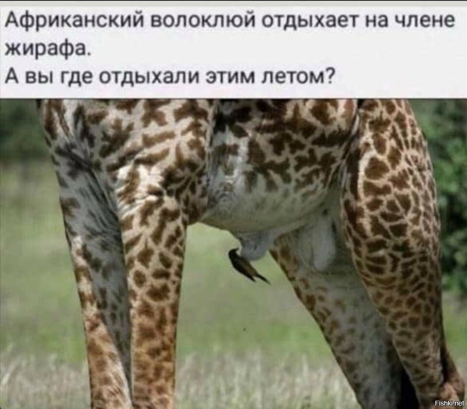 баян на все времена