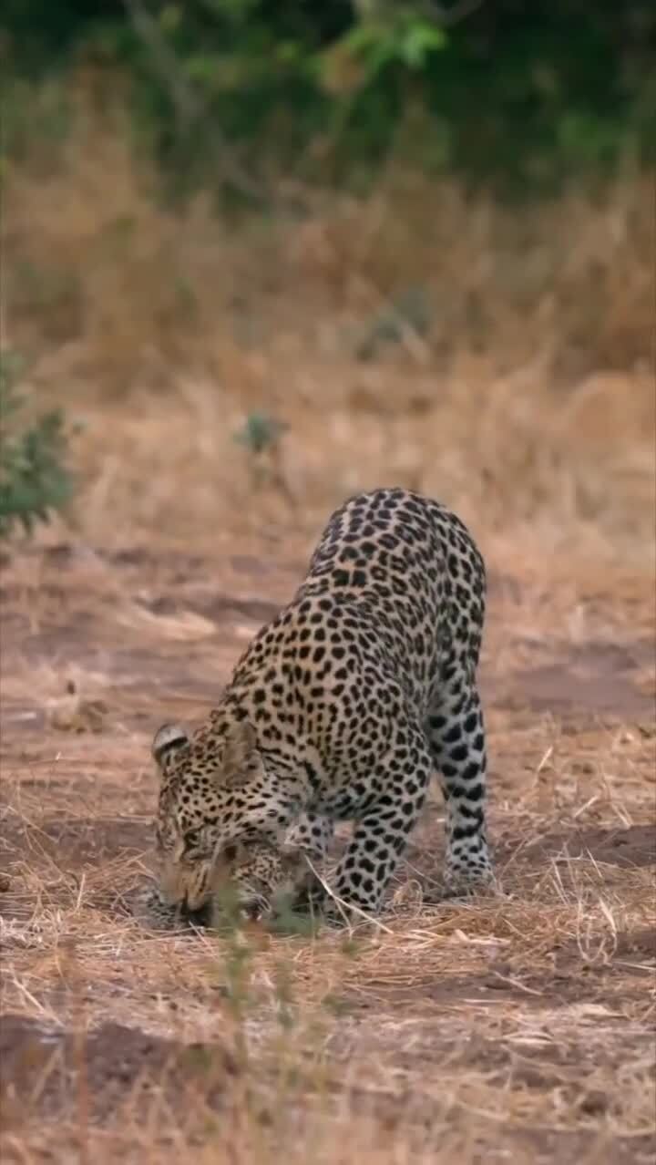 Какой же ты тяжёлый