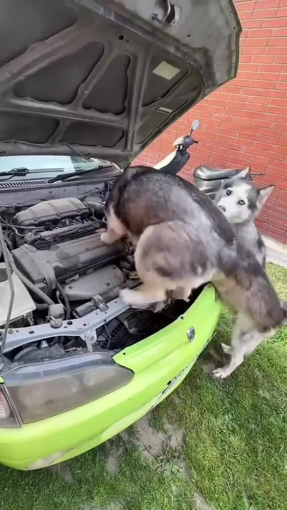 Солянка