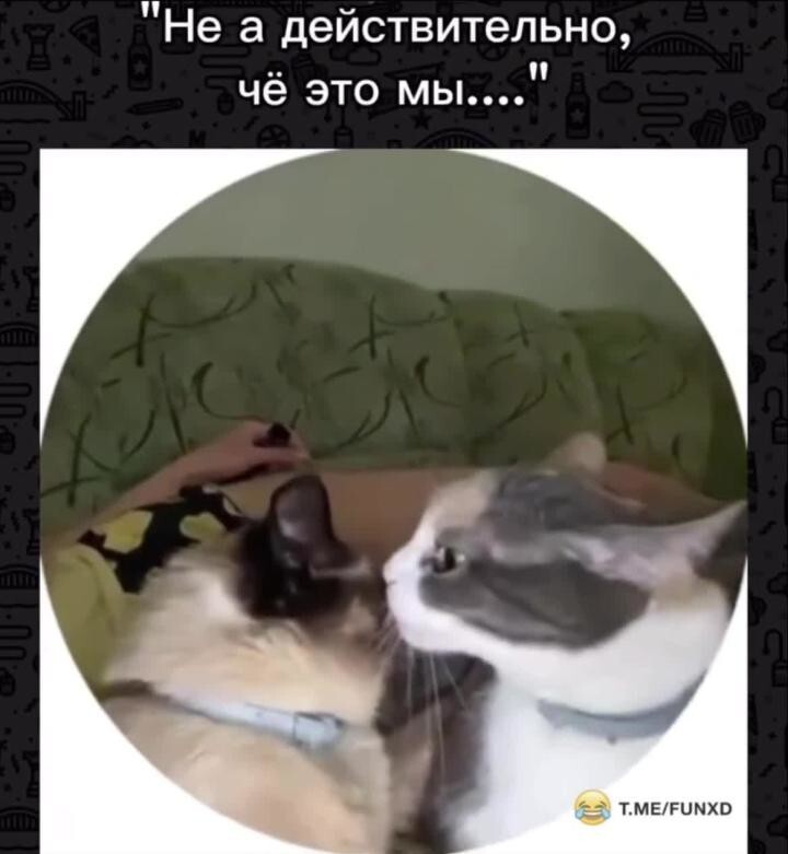 Недопонимание вышло