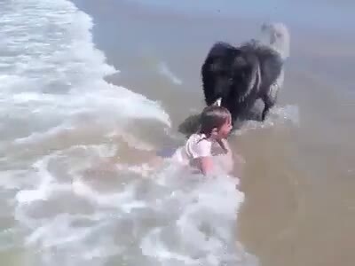 Мохнатый спасатель