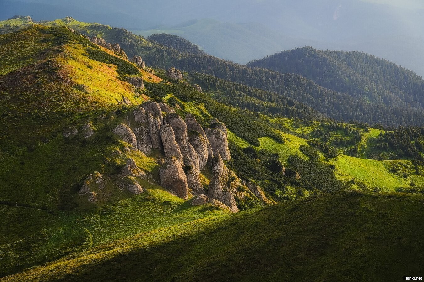 Солянка