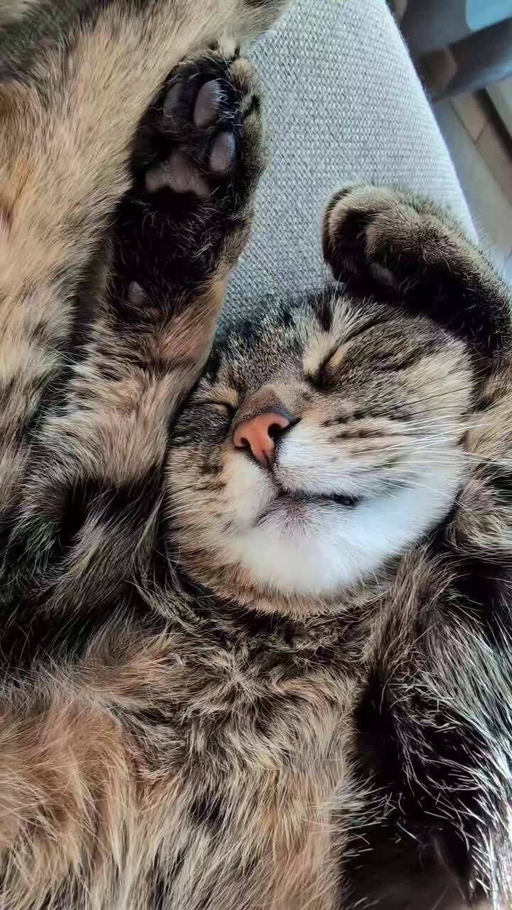 Моторчик)